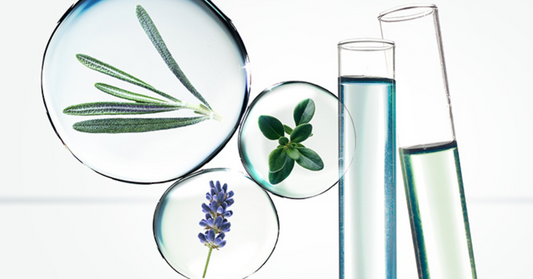 Plantes encapsulées et tubes à essai illustrant la pureté et l’efficacité des huiles essentielles dans la cosmétique naturelle et innovante.