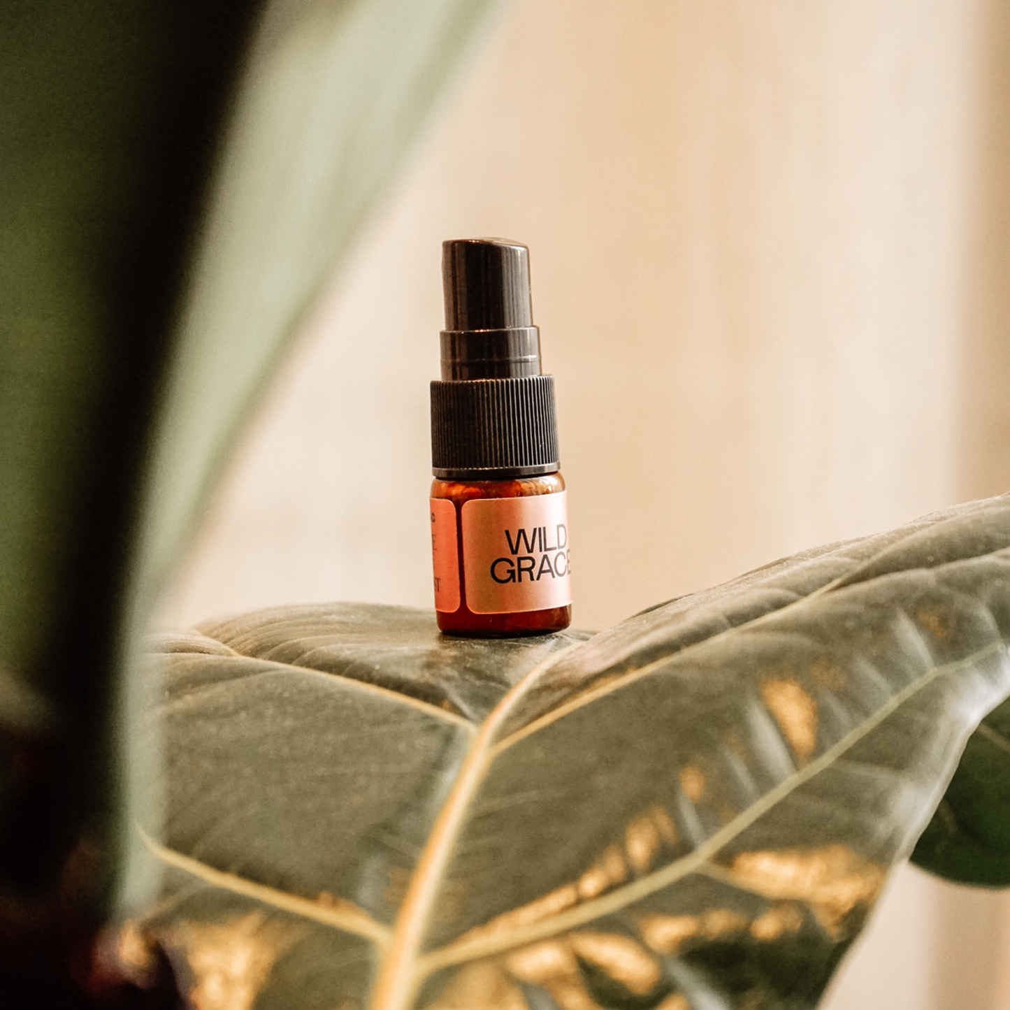 Tonique Visage Cristal