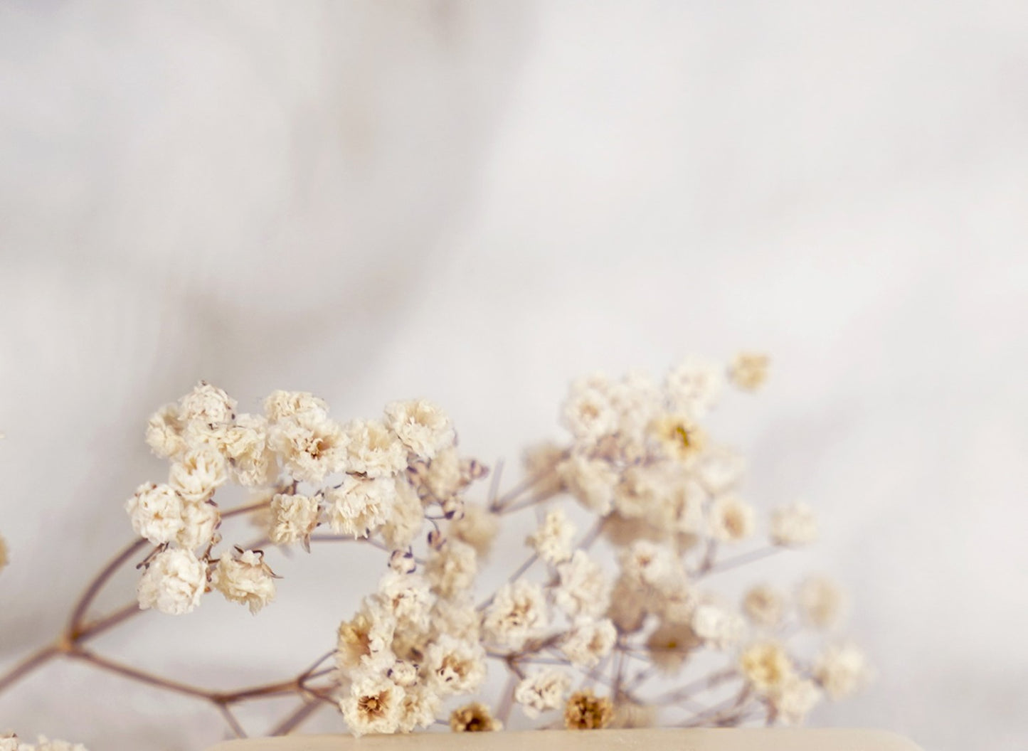 Masque Nutrition Extrême