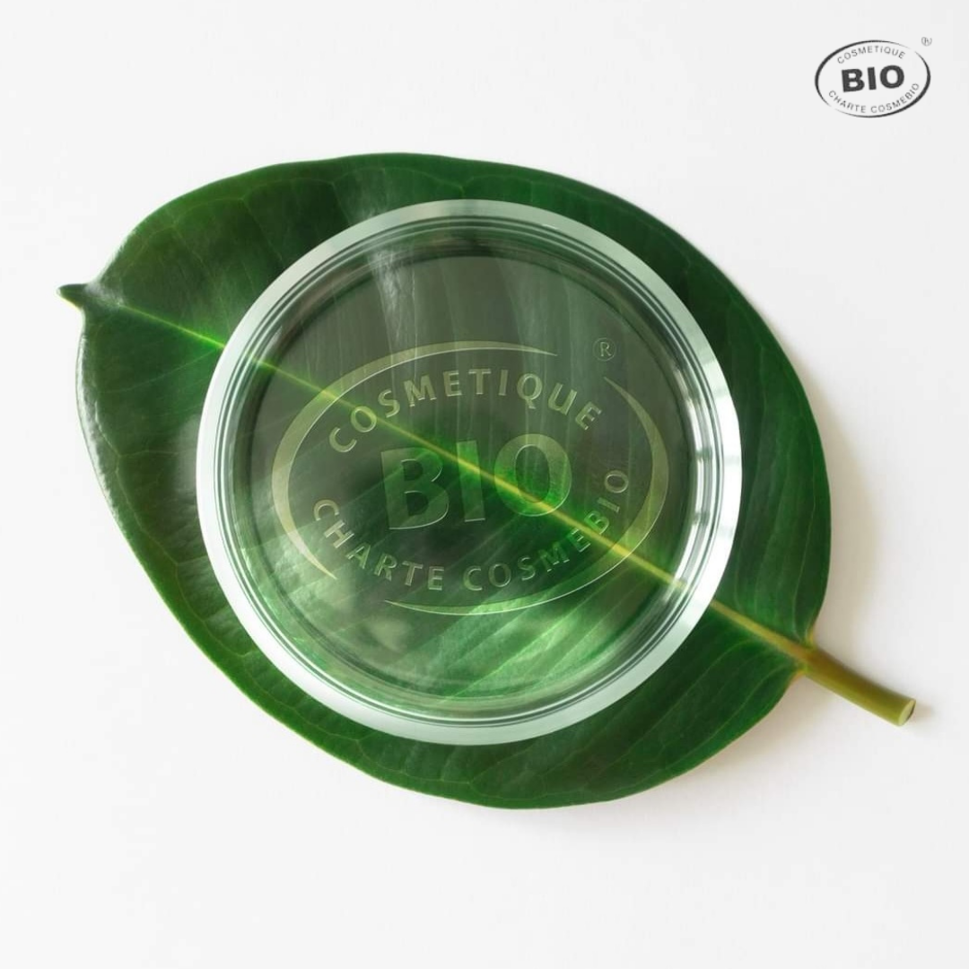 Zoom sur une feuille verte illustrant l’origine naturelle des actifs présents dans le concentré visage bio Phyt’s.