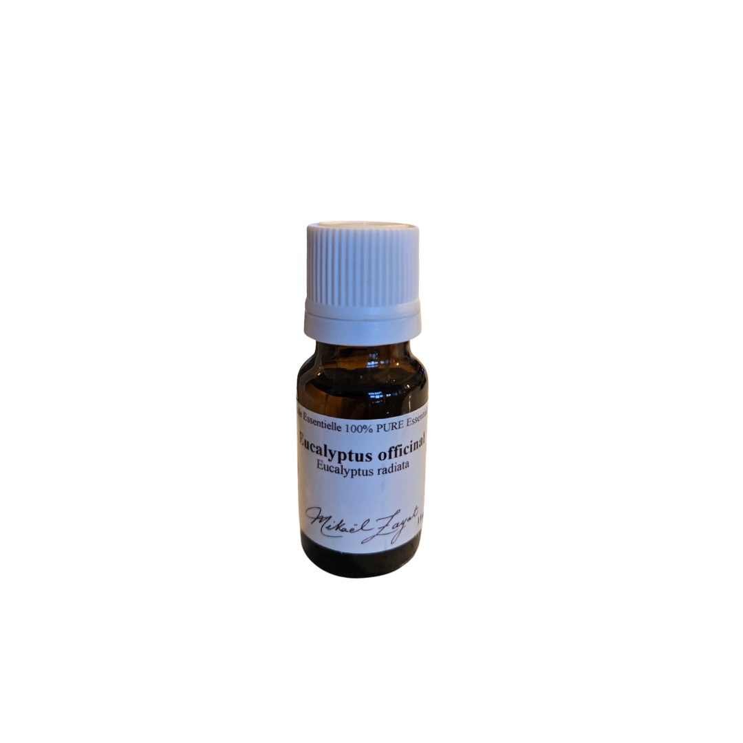 Petite bouteille d’huile essentielle d’Eucalyptus officinal (radiata) 11 ml, parfaite pour l’aromathérapie ou la diffusion douce. Fraîcheur et bien-être au naturel.