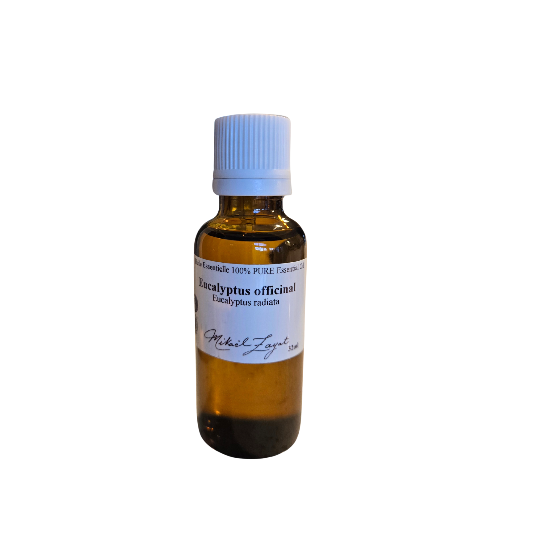 Flacon d’huile essentielle d’Eucalyptus officinal (radiata) 32 ml, idéale pour ses propriétés purifiantes et rafraîchissantes. Un incontournable bio au quotidien.