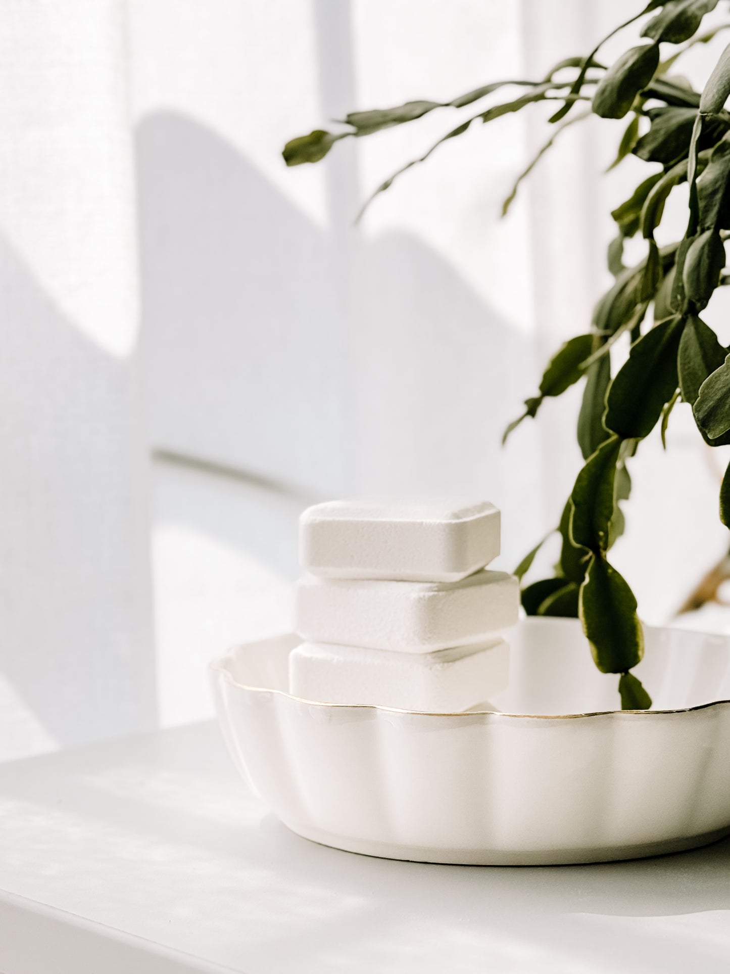 VAPEURS DE DOUCHE Menthol & Eucalyptus