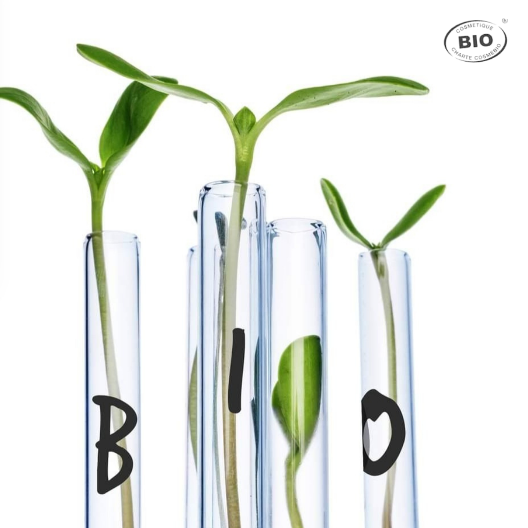 Produits certifiés bio issus d’ingrédients naturels pour une peau protégée, hydratée et respectée, dans le respect de l’environnement.