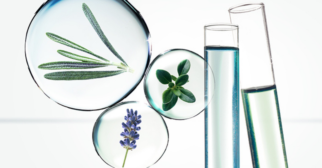  Plantes encapsulées et tubes à essai illustrant la pureté et l’efficacité des huiles essentielles dans la cosmétique naturelle et innovante.