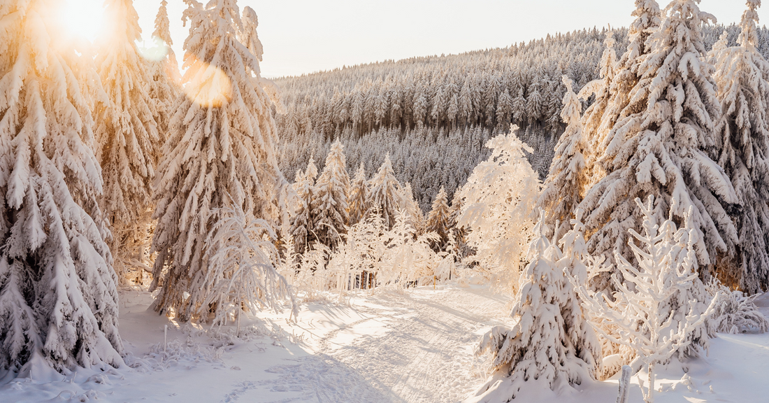 Paysage hivernale avec un beau soleil au loin témoin d'une journée splandide, idéale pour accueillir l'année 2026