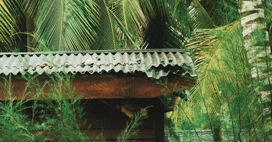 Image d'un toit faisant partie d'une décor naturel à l'image d'un déodorant naturel qui protège l'extérieur des odeurs mais sans bloquer les glandes des aisselles