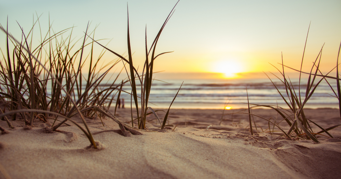 Coola, Phyt's et Nelly Devuyst : comment choisir ta protection solaire naturelle ?