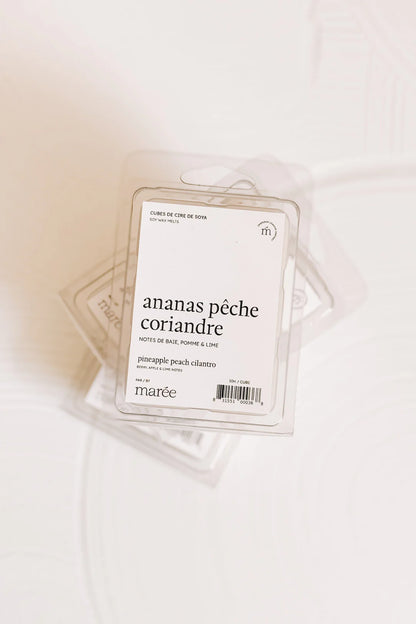 Cubes de cire de soya