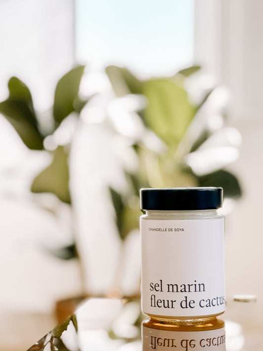 Pot de verre Sel marin fleur de cactus avec un couvercle noir brillant, reflétant la lumière près d'une plante d'intérieur.